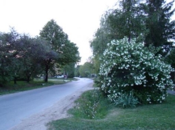 falukepek_11_20210412