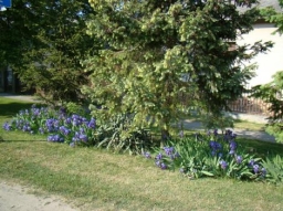 falukepek_21_20210412